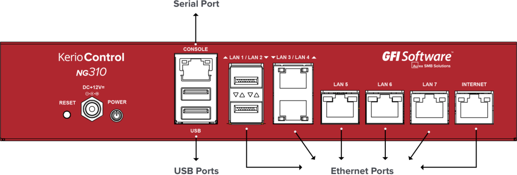 GFI KerioControl NG310